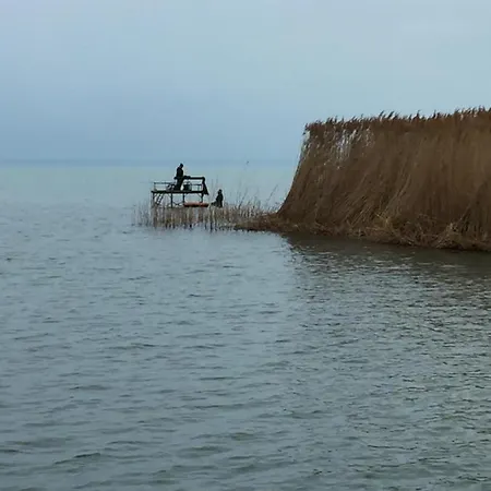 Vip * シオーフォク